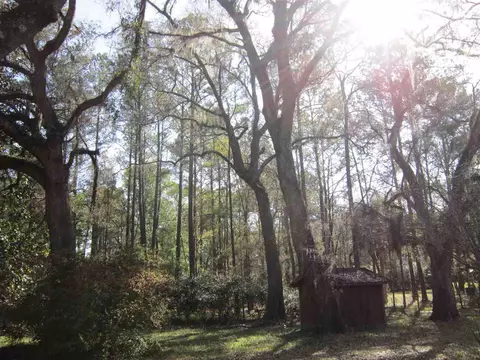 1849 Cairo Parker Rd, Perry, FL 32347 photo 24