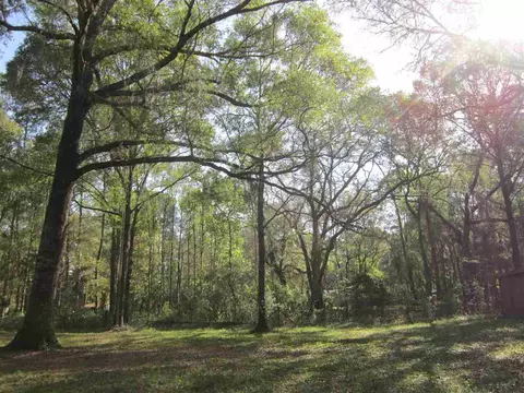 1849 Cairo Parker Rd, Perry, FL 32347 photo 30