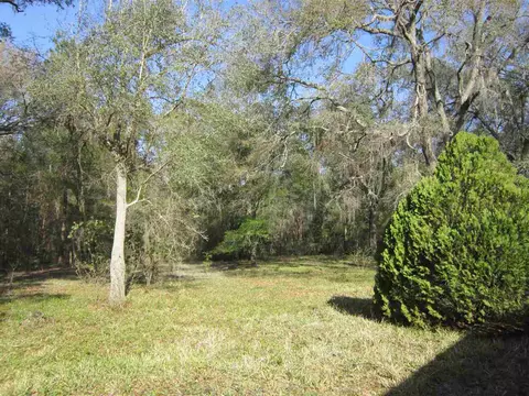 1849 Cairo Parker Rd, Perry, FL 32347 photo 31