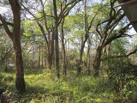 1849 Cairo Parker Rd, Perry, FL 32347 photo 25