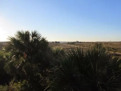5924 Flounder Ln, Perry, FL 32348 photo 6