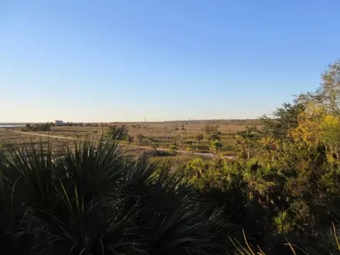 5924 Flounder Ln, Perry, FL 32348 photo 7