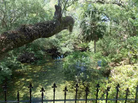 90 Buckeye Nursery Rd, Perry, FL 32347 photo 24