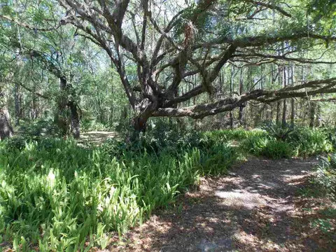 90 Buckeye Nursery Rd, Perry, FL 32347 photo 26