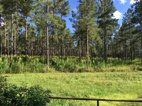 779 St Augustine Rd #-, Monticello, FL 32344 photo 24