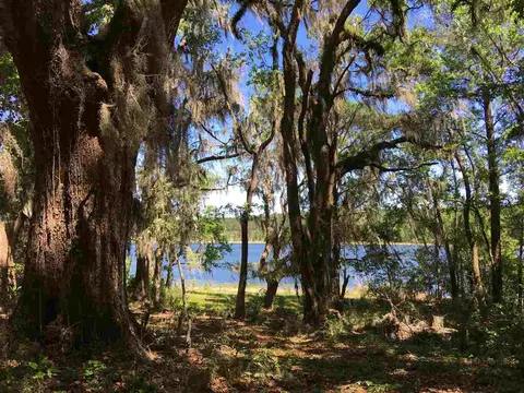 779 St Augustine Rd #-, Monticello, FL 32344 photo 31