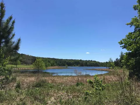 779 St Augustine Rd #-, Monticello, FL 32344 photo 8