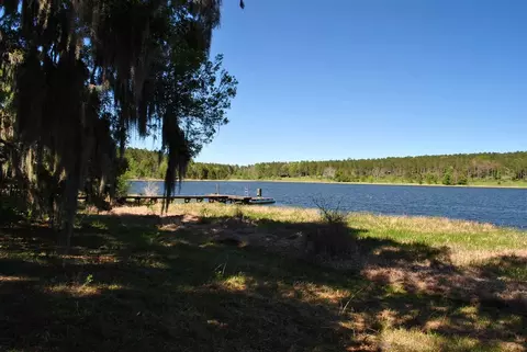 779 St Augustine Rd #-, Monticello, FL 32344 photo 7