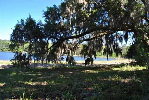 779 St Augustine Rd #-, Monticello, FL 32344 photo 25
