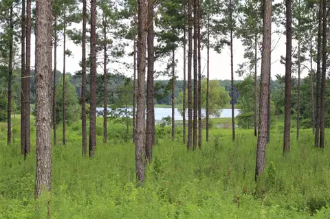 779 St Augustine Rd #-, Monticello, FL 32344 photo 29