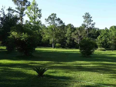 788 Hatchett Rd, Lamont, FL 32336 photo 17