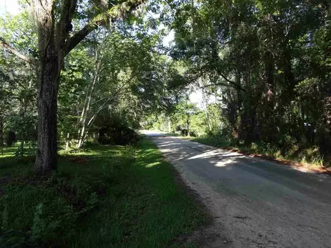 788 Hatchett Rd, Lamont, FL 32336 photo 20