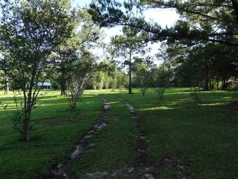 788 Hatchett Rd, Lamont, FL 32336 photo 19