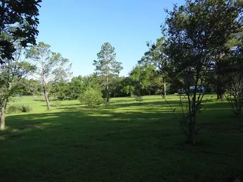 788 Hatchett Rd, Lamont, FL 32336 photo 15