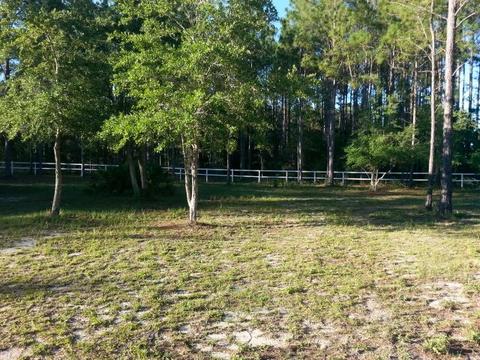 14215 Beach Rd, Perry, FL 32348 photo 25