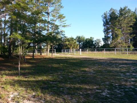 14215 Beach Rd, Perry, FL 32348 photo 26