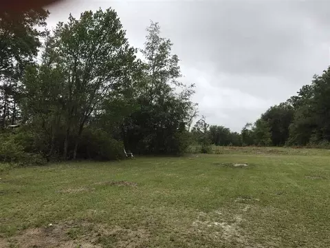810 NE Coriander, Pinetta, FL 32350 photo 12