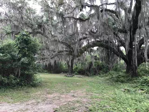 810 NE Coriander, Pinetta, FL 32350 photo 22