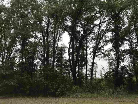 810 NE Coriander, Pinetta, FL 32350 photo 18