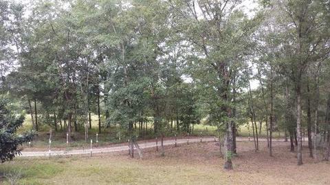 494 NE Nixon Loop, Madison, FL 32340 photo 12