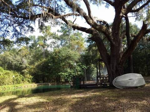 494 NE Nixon Loop, Madison, FL 32340 photo 11