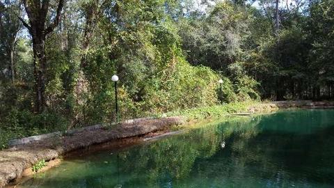 494 NE Nixon Loop, Madison, FL 32340 photo 19
