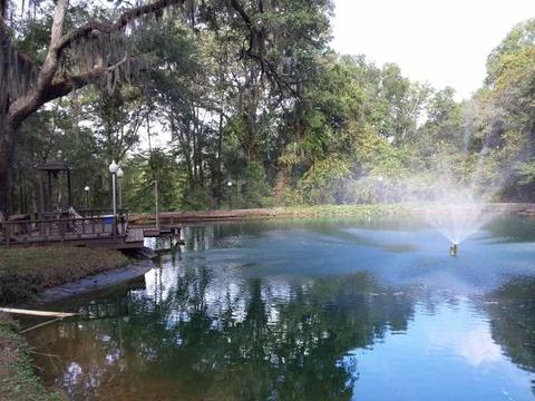494 NE Nixon Loop, Madison, FL 32340 photo 21