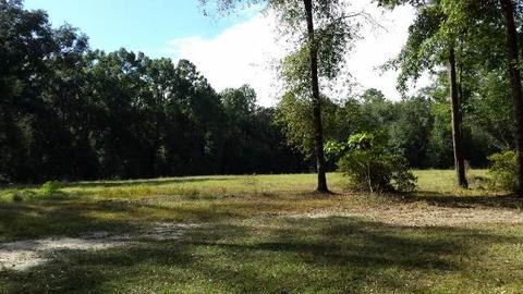 494 NE Nixon Loop, Madison, FL 32340 photo 9