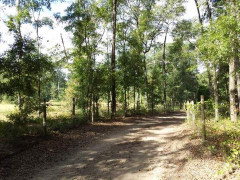 494 NE Nixon Loop, Madison, FL 32340 photo 23