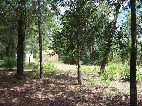 147 Bradshaw Blvd, Perry, FL 32348 photo 12