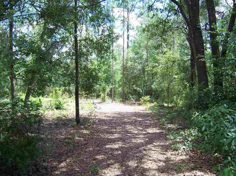 147 Bradshaw Blvd, Perry, FL 32348 photo 11