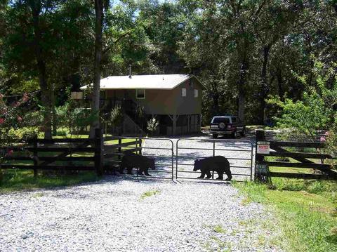 12188 SW Overstreet Ave, Lamont, FL 32336