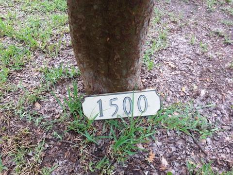 1500 Holley Dr, Perry, FL 32347 photo 5