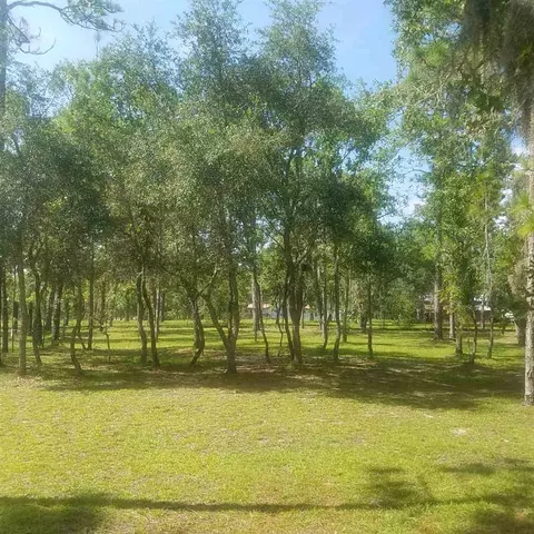 16628 E Royal Oak Dr, Perry, FL 32348 photo 26