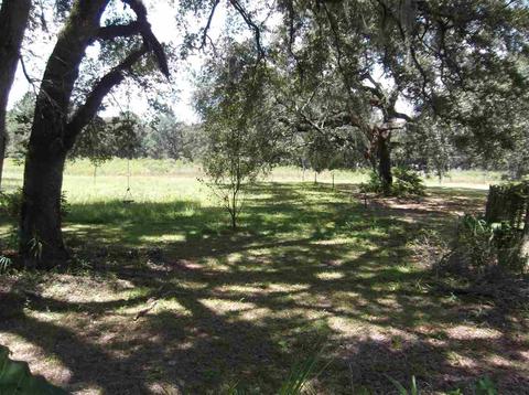 2758 N Johnson Stripling Rd, Perry, FL 32347 photo 4