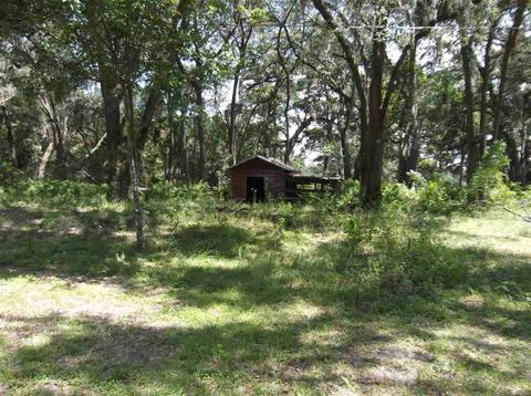 2758 N Johnson Stripling Rd, Perry, FL 32347 photo 3
