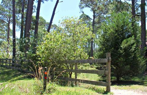 103 Levy Bay Rd, Panacea, FL 32346 photo 23