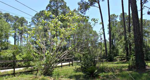 103 Levy Bay Rd, Panacea, FL 32346 photo 20