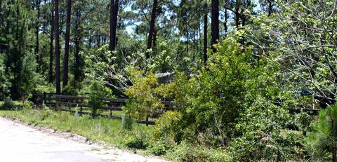 103 Levy Bay Rd, Panacea, FL 32346 photo 21