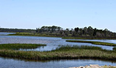 103 Levy Bay Rd, Panacea, FL 32346 photo 25