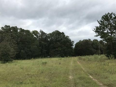 205 Hatties Ln, Midway, FL 32343 photo 18