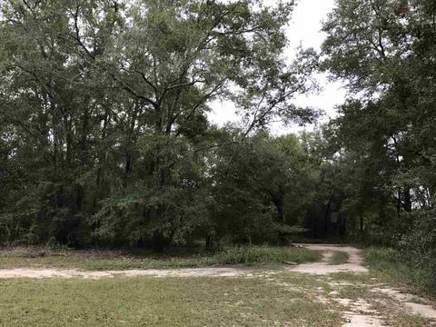 205 Hatties Ln, Midway, FL 32343 photo 19