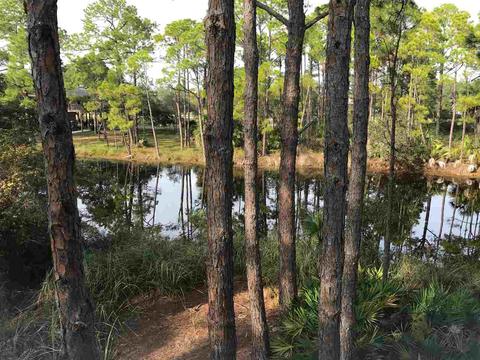 75 Harry Morrison Rd, Alligator Point, FL 32346 photo 19