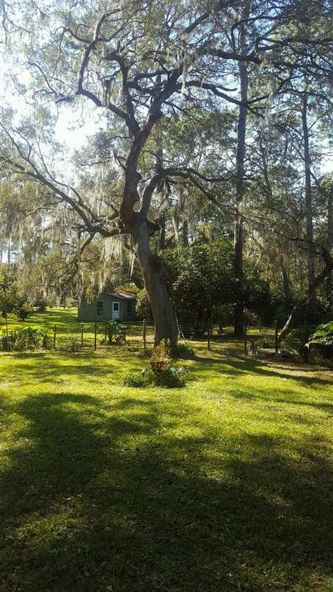 105 Seminole Rd, Perry, FL 32348 photo 31