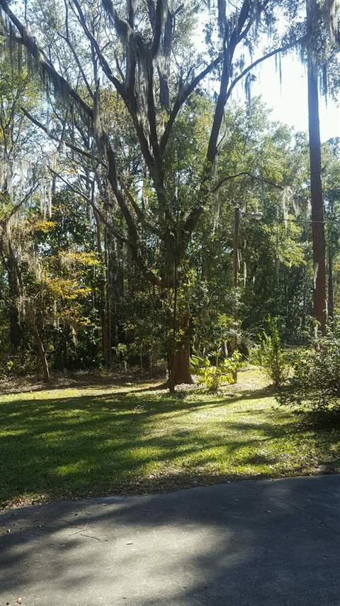 105 Seminole Rd, Perry, FL 32348 photo 4
