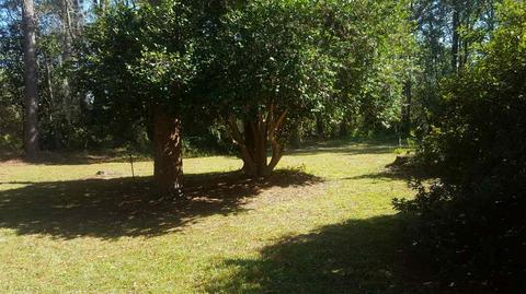 105 Seminole Rd, Perry, FL 32348 photo 32