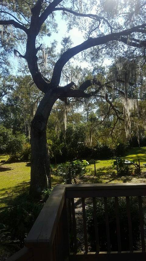 105 Seminole Rd, Perry, FL 32348 photo 23