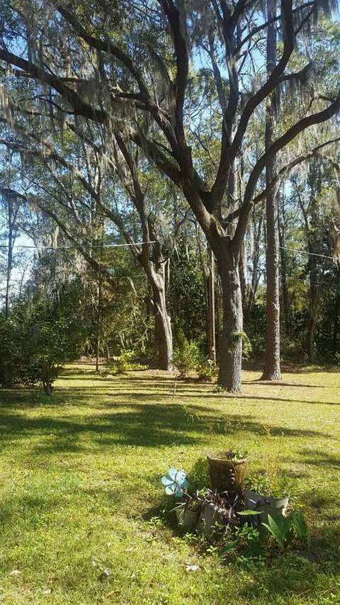 105 Seminole Rd, Perry, FL 32348 photo 29