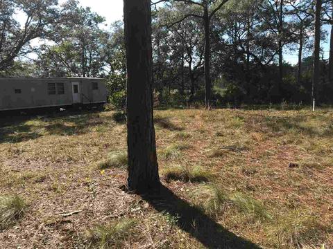 79 Becton St, Panacea, FL 32346 photo 4