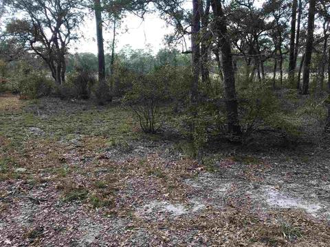 79 Becton St, Panacea, FL 32346 photo 20